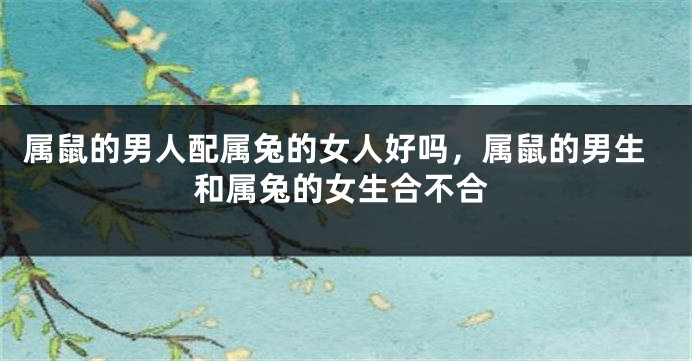 属鼠的男人配属兔的女人好吗，属鼠的男生和属兔的女生合不合
