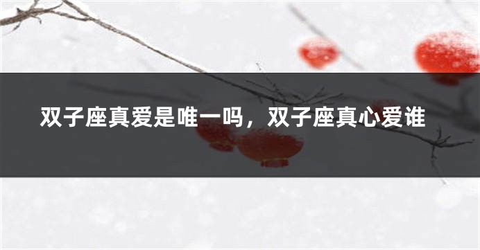 双子座真爱是唯一吗，双子座真心爱谁