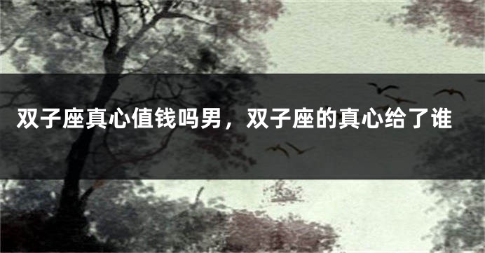 双子座真心值钱吗男，双子座的真心给了谁