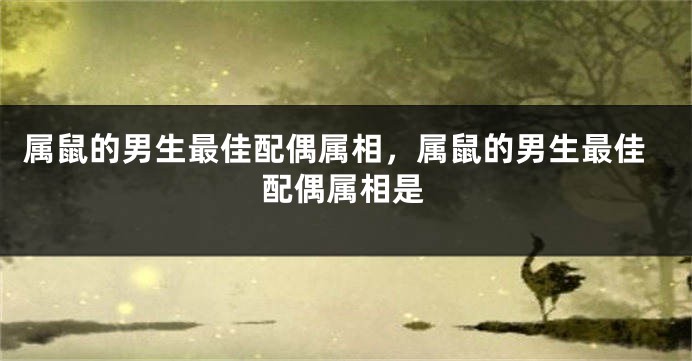 属鼠的男生最佳配偶属相，属鼠的男生最佳配偶属相是