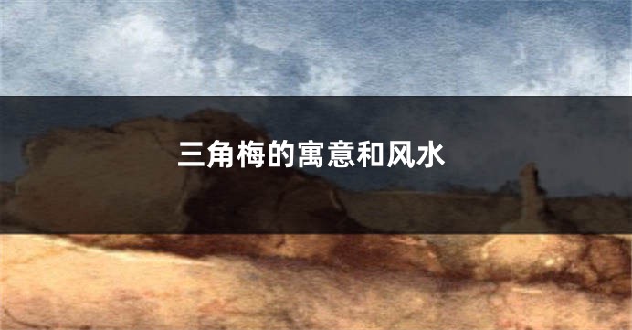 三角梅的寓意和风水