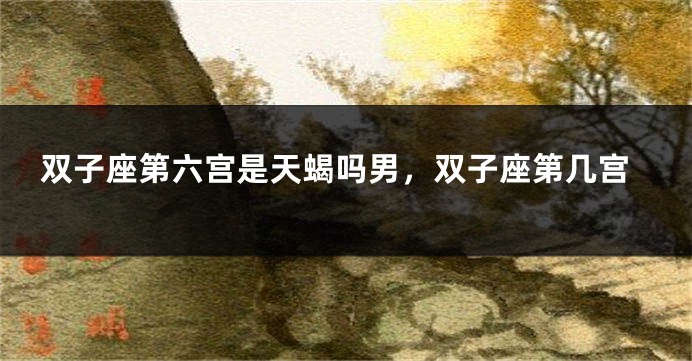 双子座第六宫是天蝎吗男，双子座第几宫