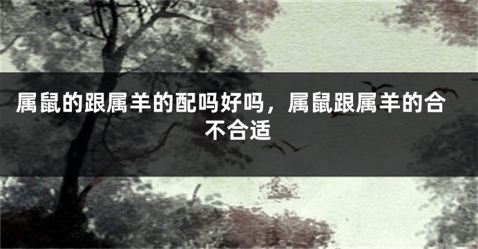 属鼠的跟属羊的配吗好吗，属鼠跟属羊的合不合适
