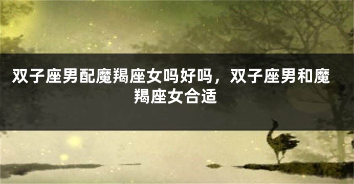 双子座男配魔羯座女吗好吗，双子座男和魔羯座女合适