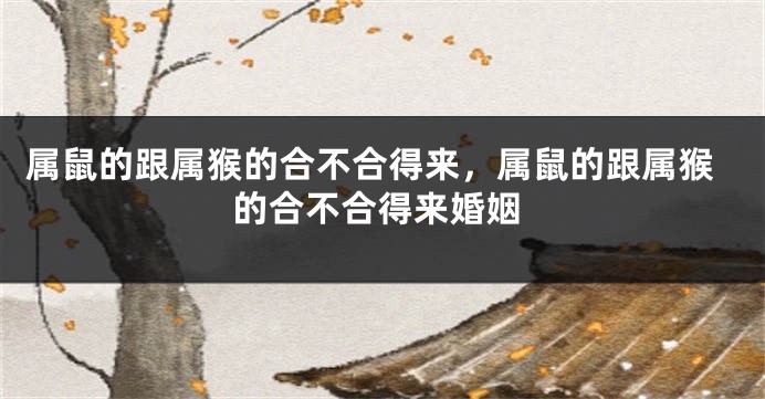 属鼠的跟属猴的合不合得来，属鼠的跟属猴的合不合得来婚姻