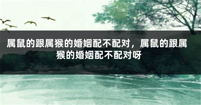 属鼠的跟属猴的婚姻配不配对，属鼠的跟属猴的婚姻配不配对呀