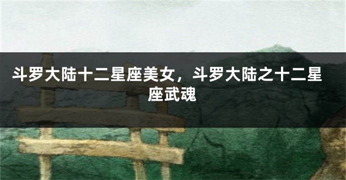 斗罗大陆十二星座美女，斗罗大陆之十二星座武魂