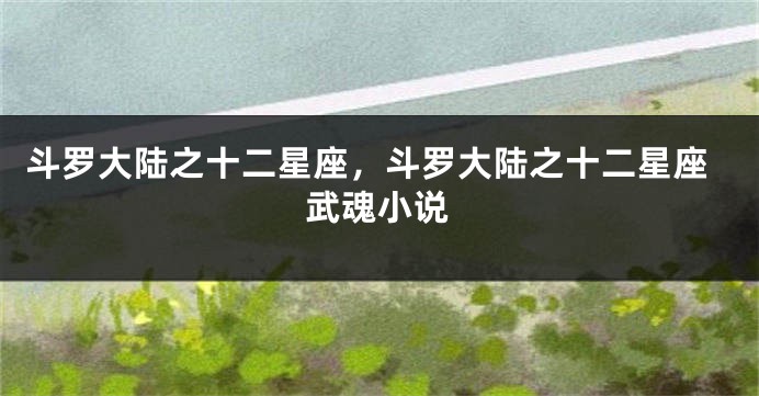 斗罗大陆之十二星座，斗罗大陆之十二星座武魂小说