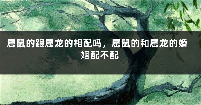 属鼠的跟属龙的相配吗，属鼠的和属龙的婚姻配不配