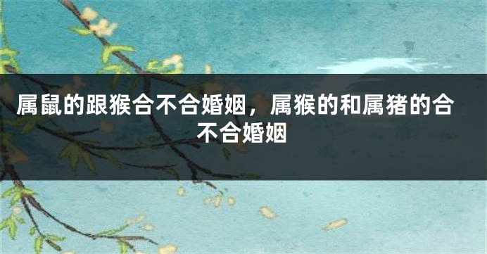 属鼠的跟猴合不合婚姻，属猴的和属猪的合不合婚姻