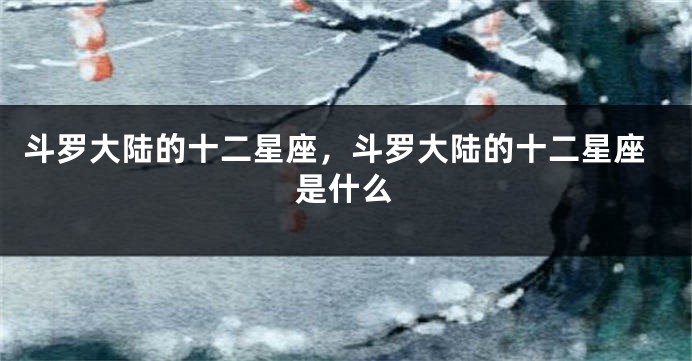斗罗大陆的十二星座，斗罗大陆的十二星座是什么