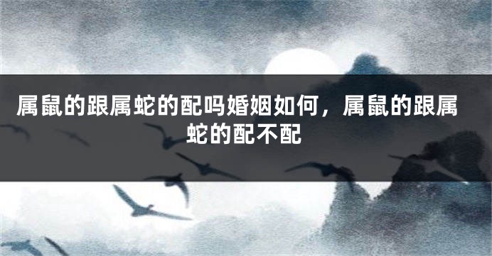 属鼠的跟属蛇的配吗婚姻如何，属鼠的跟属蛇的配不配