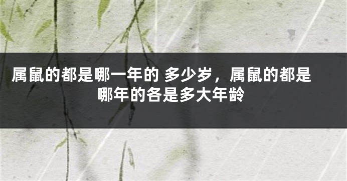 属鼠的都是哪一年的 多少岁，属鼠的都是哪年的各是多大年龄