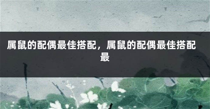属鼠的配偶最佳搭配，属鼠的配偶最佳搭配最