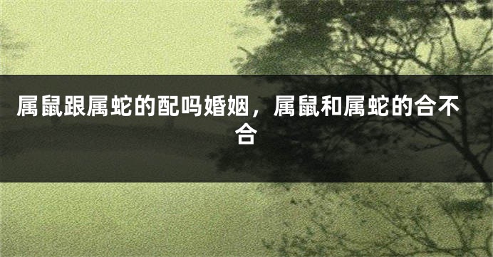 属鼠跟属蛇的配吗婚姻，属鼠和属蛇的合不合