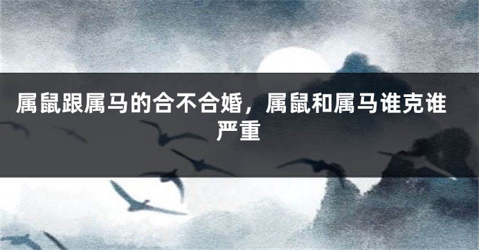 属鼠跟属马的合不合婚，属鼠和属马谁克谁严重