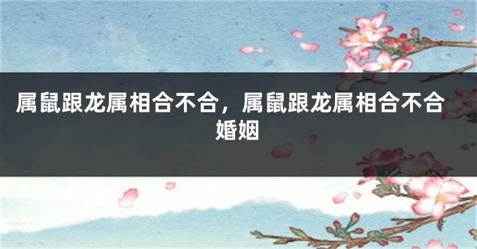 属鼠跟龙属相合不合，属鼠跟龙属相合不合婚姻