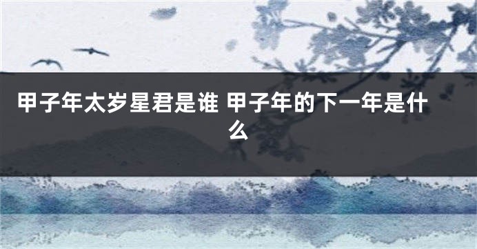 甲子年太岁星君是谁 甲子年的下一年是什么