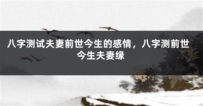 八字测试夫妻前世今生的感情,八字测前世今生夫妻缘