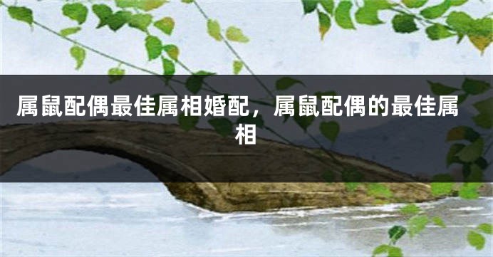 属鼠配偶最佳属相婚配，属鼠配偶的最佳属相