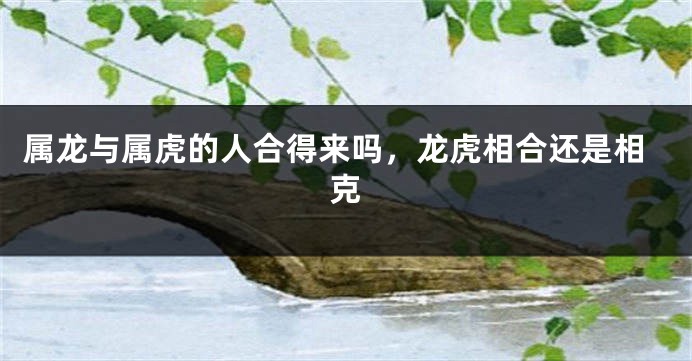 属龙与属虎的人合得来吗，龙虎相合还是相克