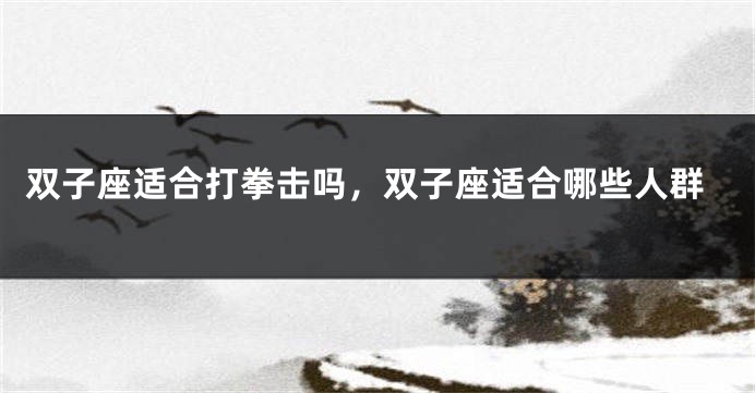 双子座适合打拳击吗，双子座适合哪些人群