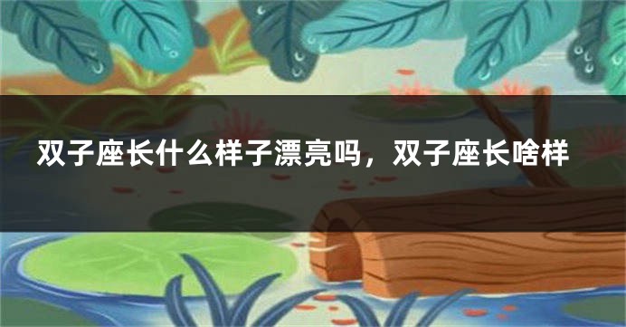 双子座长什么样子漂亮吗，双子座长啥样