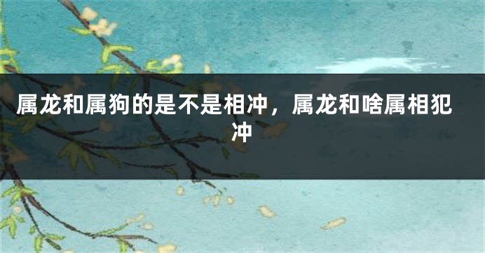 属龙和属狗的是不是相冲,属龙和啥属相犯冲