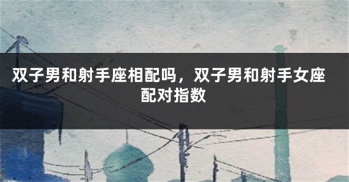 双子男和射手座相配吗，双子男和射手女座配对指数