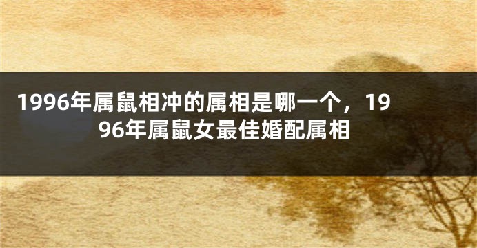 1996年属鼠相冲的属相是哪一个,1996年属鼠女最佳婚配属相