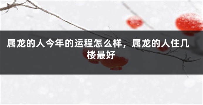 属龙的人今年的运程怎么样，属龙的人住几楼最好
