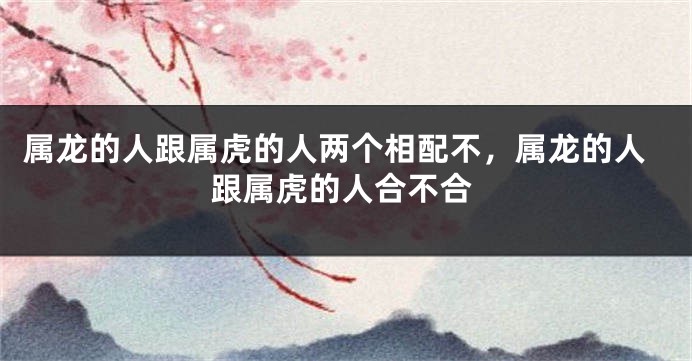 属龙的人跟属虎的人两个相配不，属龙的人跟属虎的人合不合