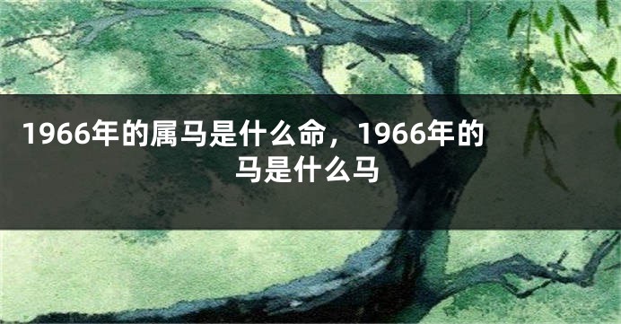 1966年的属马是什么命，1966年的马是什么马