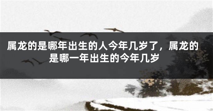 属龙的是哪年出生的人今年几岁了,属龙的是哪一年出生的今年几岁