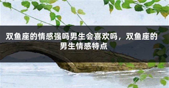 双鱼座的情感强吗男生会喜欢吗,双鱼座的男生情感特点