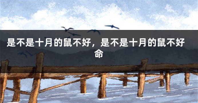 是不是十月的鼠不好，是不是十月的鼠不好命