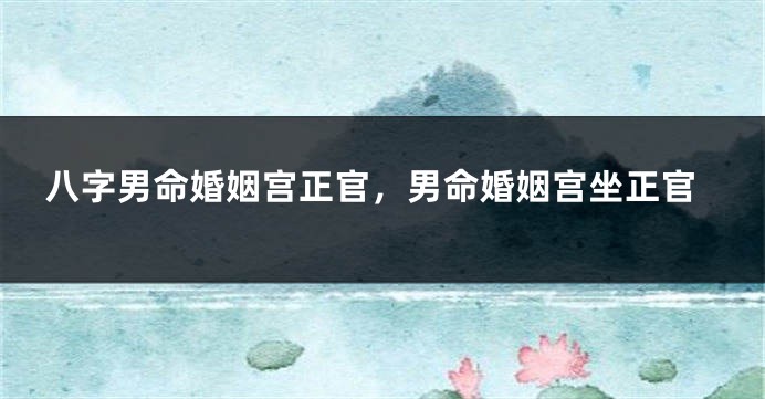 八字男命婚姻宫正官，男命婚姻宫坐正官