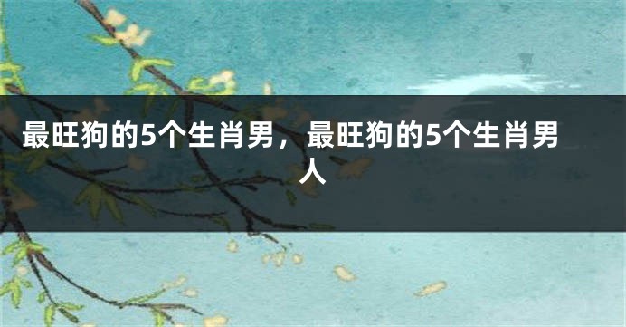最旺狗的5个生肖男，最旺狗的5个生肖男人
