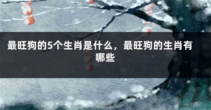 最旺狗的5个生肖是什么，最旺狗的生肖有哪些