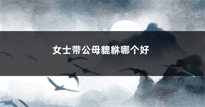 女士带公母貔貅哪个好