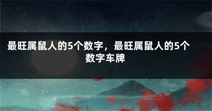 最旺属鼠人的5个数字，最旺属鼠人的5个数字车牌