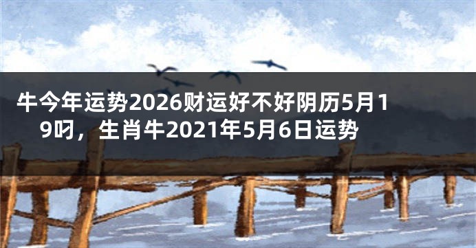 牛今年运势2026财运好不好阴历5月19叼，生肖牛2021年5月6日运势