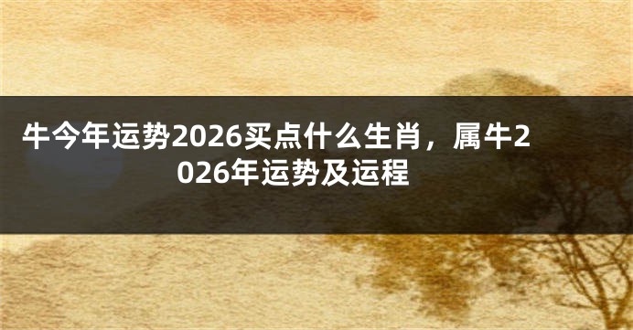 牛今年运势2026买点什么生肖，属牛2026年运势及运程
