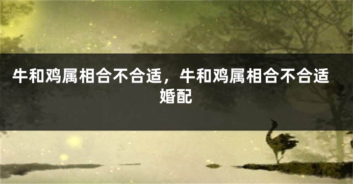 牛和鸡属相合不合适，牛和鸡属相合不合适婚配