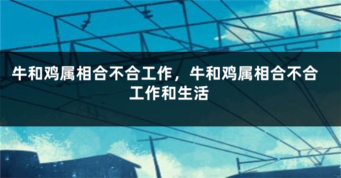 牛和鸡属相合不合工作，牛和鸡属相合不合工作和生活