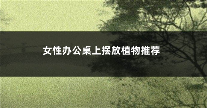 女性办公桌上摆放植物推荐