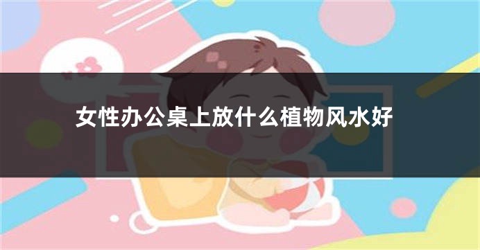 女性办公桌上放什么植物风水好