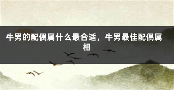 牛男的配偶属什么最合适，牛男最佳配偶属相