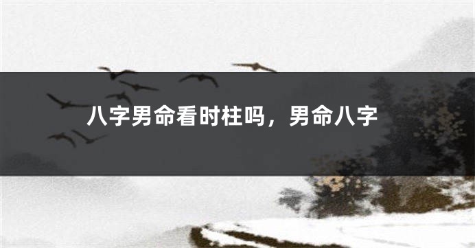 八字男命看时柱吗，男命八字