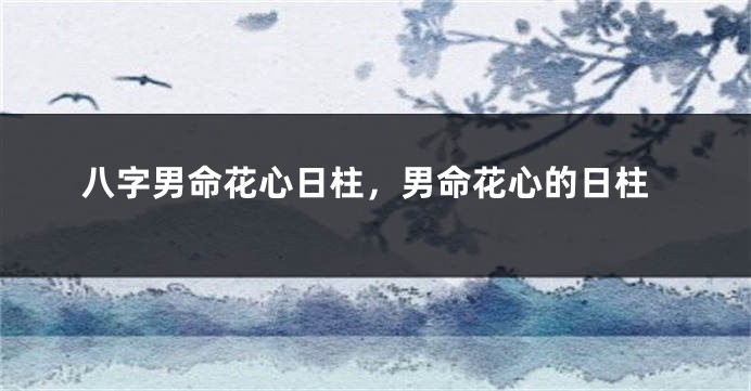 八字男命花心日柱，男命花心的日柱